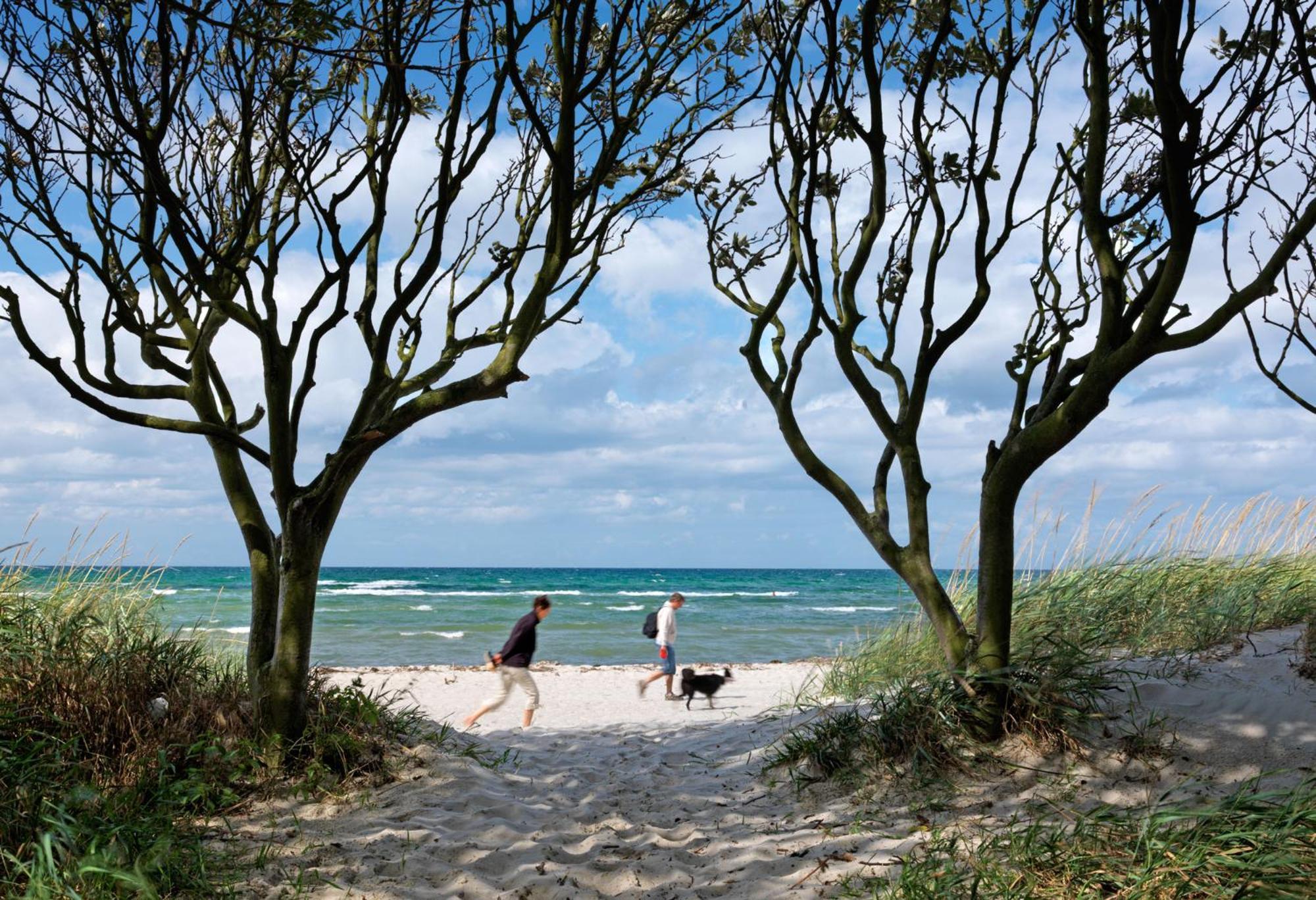 Gollwitzer Park Oase Διαμέρισμα Insel Poel Εξωτερικό φωτογραφία